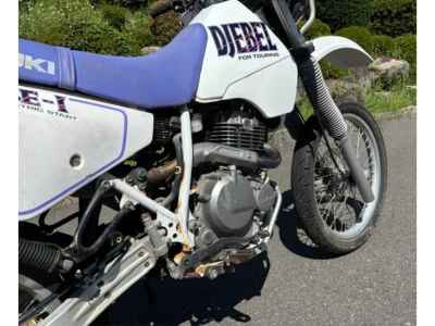 Suzuki Djebel 250