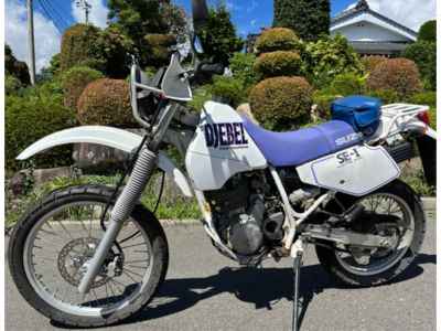 Suzuki Djebel 250