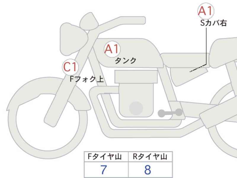 Triumph Speed Twin 900 2024