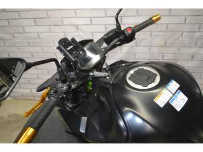 Kawasaki Z900 2021