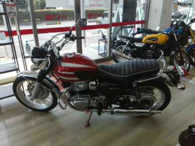 Kawasaki W800 2021