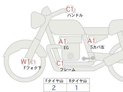 Kawasaki W800 2021
