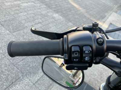 Harley-Davidson Sportster Forty-Eight XL1200X 2021