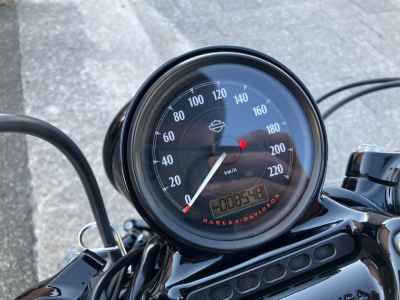 Harley-Davidson Sportster Forty-Eight XL1200X 2021