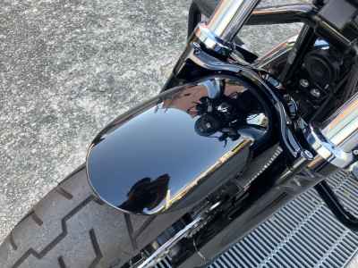 Harley-Davidson Sportster Forty-Eight XL1200X 2021