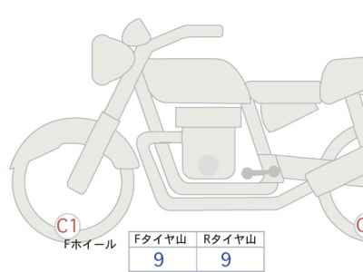 Kawasaki W800 2024