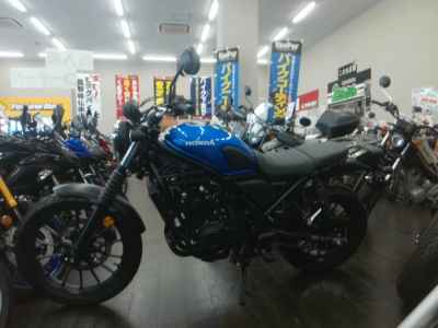 Honda CL500 2025