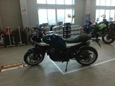 Honda Hawk 11 2022