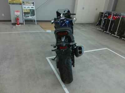 Honda Hawk 11 2022