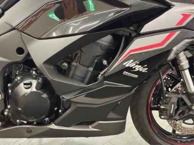 Kawasaki Ninja 1000SX 2024