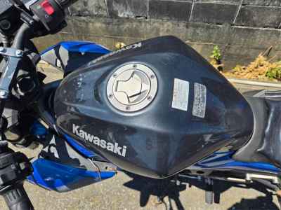 Kawasaki Z250SL