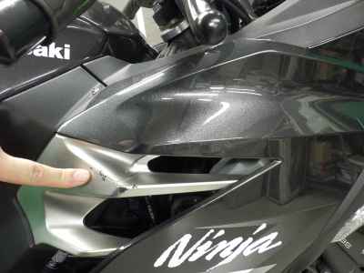 Kawasaki Ninja 250 2022