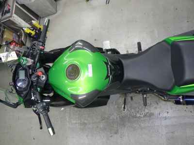 Kawasaki Ninja 1000 2015