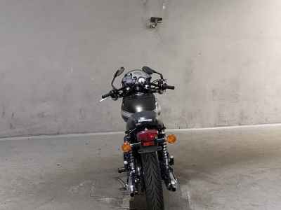 Kawasaki W800 2021
