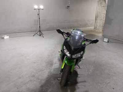 Kawasaki Ninja 1000 2016