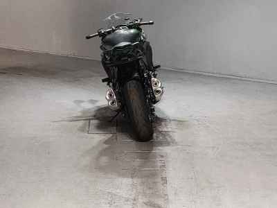 Kawasaki Ninja 1000 2019