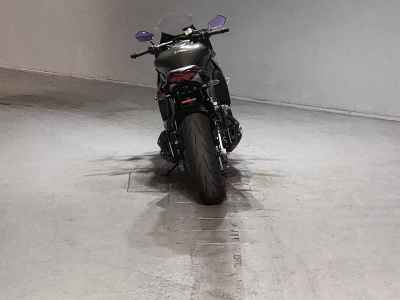 Kawasaki Ninja 1000 2016