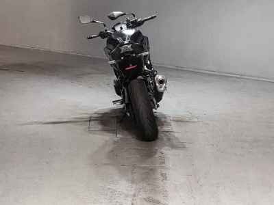 Kawasaki Z900 2022