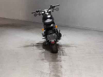Harley-Davidson X500 2023