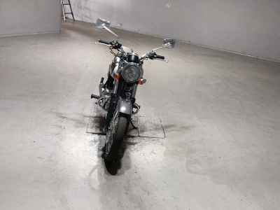 Kawasaki Estrella RS