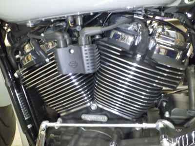 Harley-Davidson Breakout FXBR1920 2025