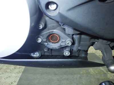BMW G310R 2020