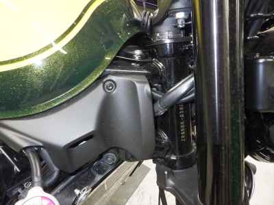 Kawasaki Z900RS 2024
