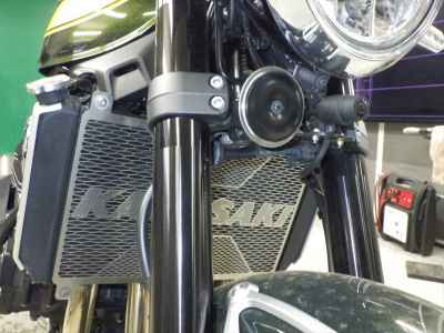 Kawasaki Z900RS 2024