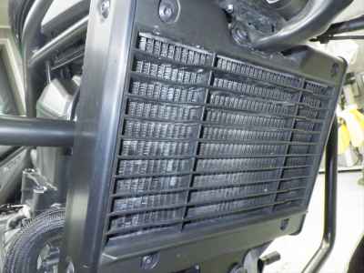 Honda Rebel T CMX1100 2023