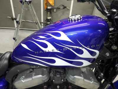 Harley-Davidson Sportster XL1200N 2011