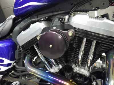 Harley-Davidson Sportster XL1200N 2011