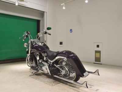 Harley-Davidson Slim FLS1580 2013