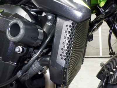 Kawasaki Z900 2019