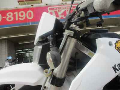 Kawasaki KLX250