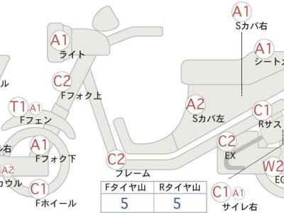 Suzuki Gemma 250
