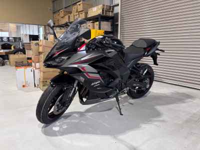 Kawasaki Ninja 1000SX 2024