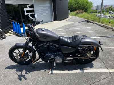 Harley-Davidson Sportster Iron XL883N 2017