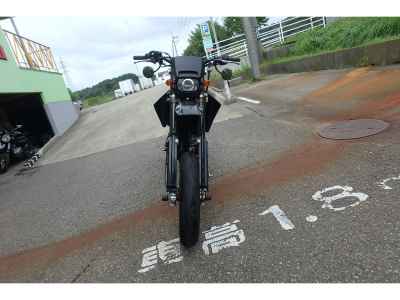 Kawasaki KLX250