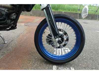 Kawasaki KLX250