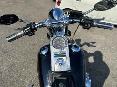 Harley-Davidson Springer Softail FXSTS 2024