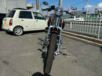 Harley-Davidson Springer Softail FXSTS 2024