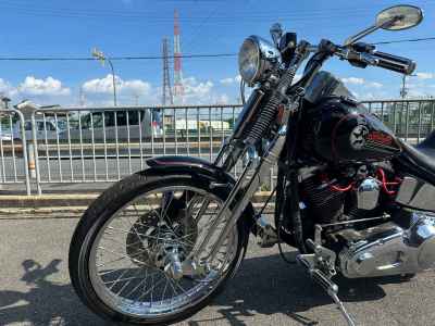 Harley-Davidson Springer Softail FXSTS 2024