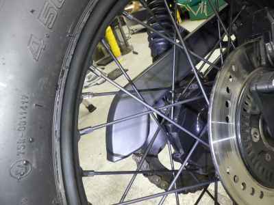 Mutt Mongrel 250 2022