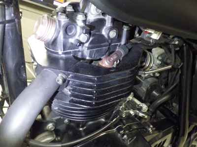 Mutt Mongrel 250 2022