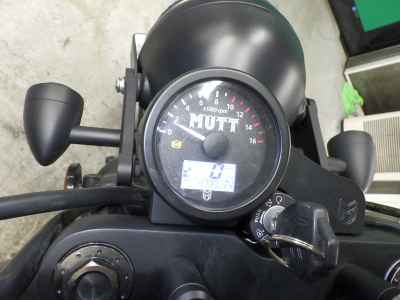 Mutt Mongrel 250 2022