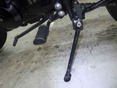 Mutt Mongrel 250 2022