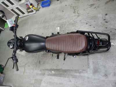 Mutt Mongrel 250 2022