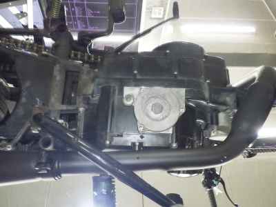 Mutt Mongrel 250 2022