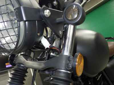 Mutt Mongrel 250 2022