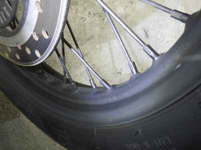 Mutt Mongrel 250 2022